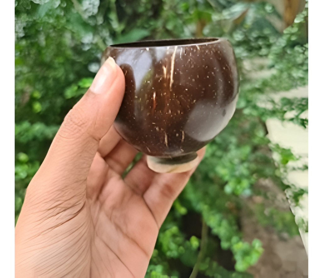 Coconut Shell Glass