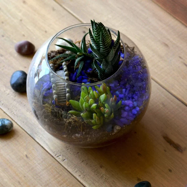 DIY Plant Terrarium