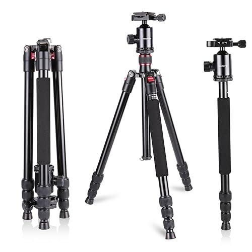 Adjustable Tripod